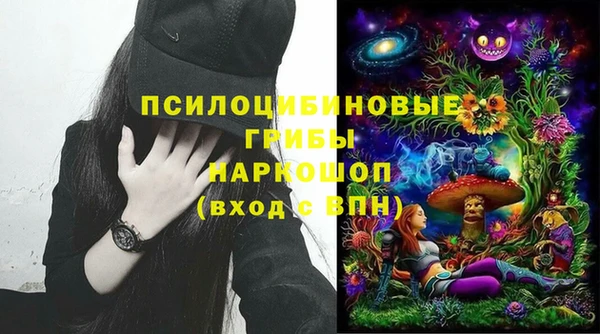 молекула духа Баксан