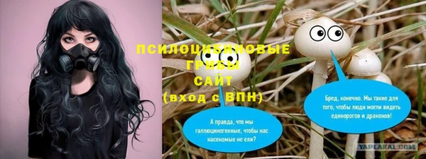 молекула духа Баксан