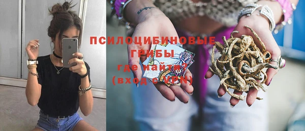 молекула духа Баксан